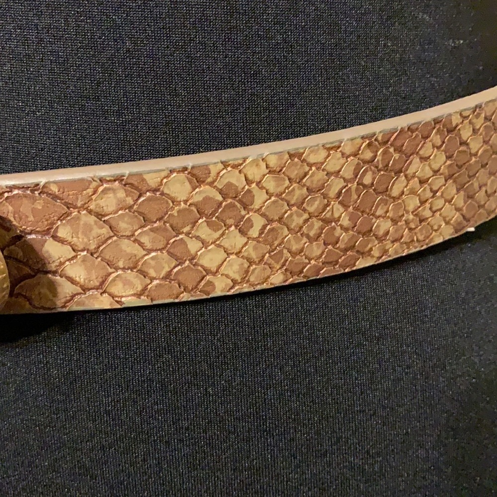 Chico’s Faux Snake Print Belt M/L - Picture 4 of 14